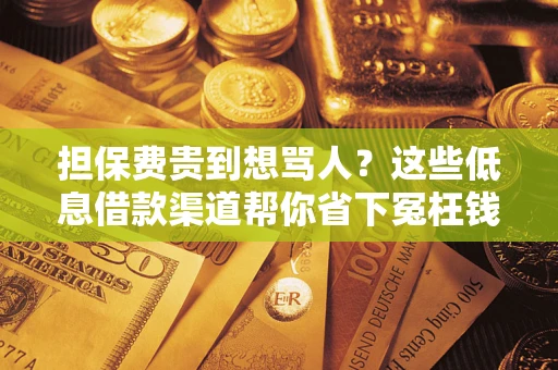 北京担保费贵到想骂人？这些低息借款渠道帮你省下冤枉钱