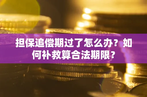 北京担保追偿期过了怎么办？如何补救算合法期限？