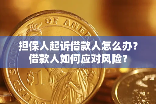 北京担保人起诉借款人怎么办？借款人如何应对风险？