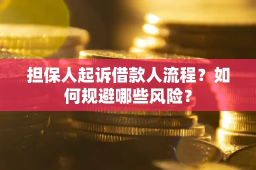 北京担保人起诉借款人流程？如何规避哪些风险？