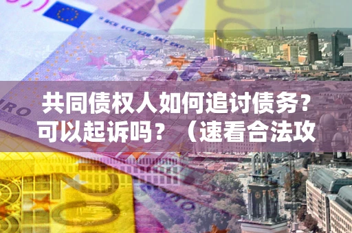 北京共同债权人如何追讨债务？可以起诉吗？（速看合法攻略）