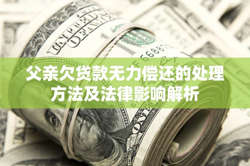 北京父亲欠贷款无力偿还的处理方法及法律影响解析